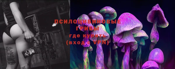 шишки Абинск