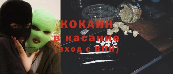 шишки Абинск