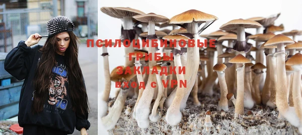 шишки Абинск
