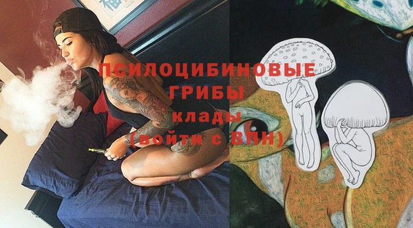 шишки Абинск