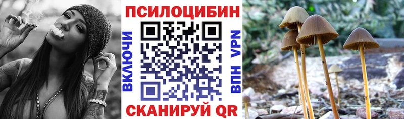 купить наркотики цена  Каменка  Галлюциногенные грибы мухоморы 