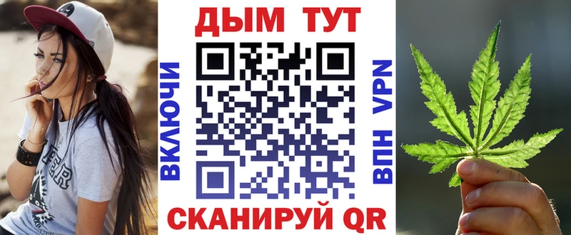 как найти закладки  Каменка  Канабис сатива 